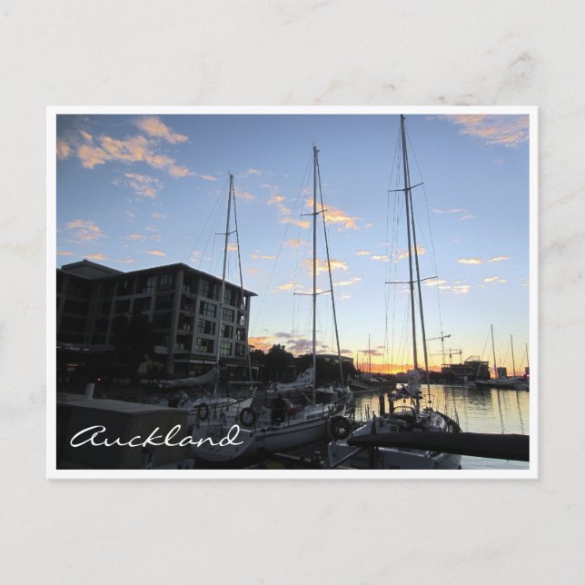 Carte Postale mâts du port de auckland (Devant)