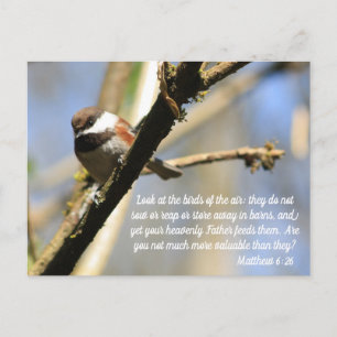Carte Postale Matthieu 6:26 Écriture des oiseaux