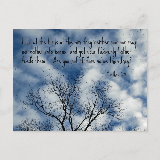 Carte Postale Matthieu 6:26 Regardez les oiseaux de l'air... (Devant)
