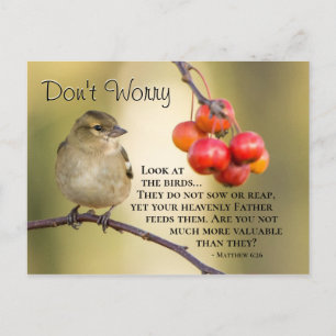 Carte Postale Matthieu 6:26 Verse de la Bible, ne vous inquiétez