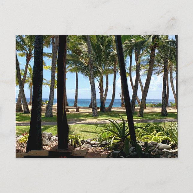 Carte Postale Maui Beach Palmiers Hawaii (Devant)