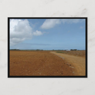 Carte Postale Maurice / Maurice