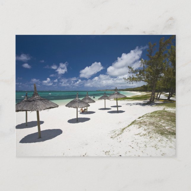 Carte Postale Maurice, Maurice orientale, Belle Mare, (Devant)