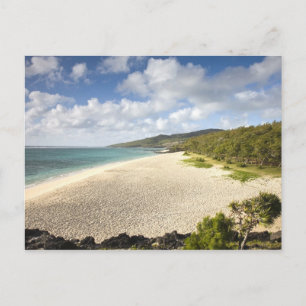 Carte Postale Maurice, Rodrigues Island, St. François, St.