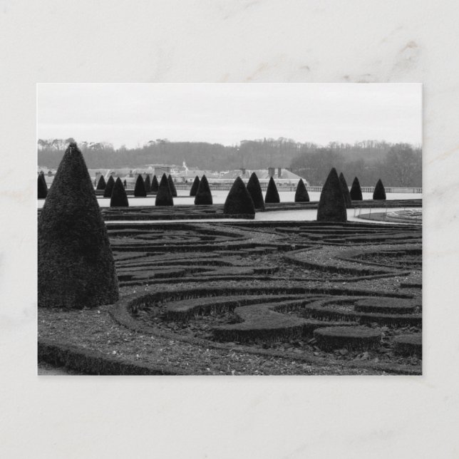 Carte Postale Maze (Devant)
