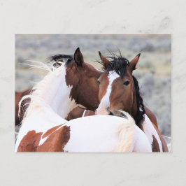 Carte Postale McCullough Peaks Cheaks sauvages