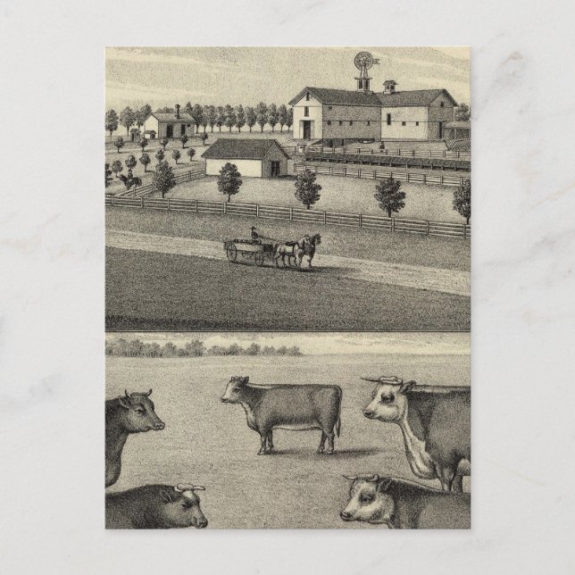 Carte Postale McDonald Farm, Nebraska (Devant)