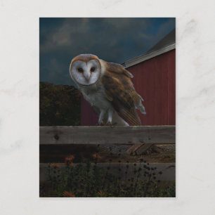Carte postale "McHoots the Watch Owl"