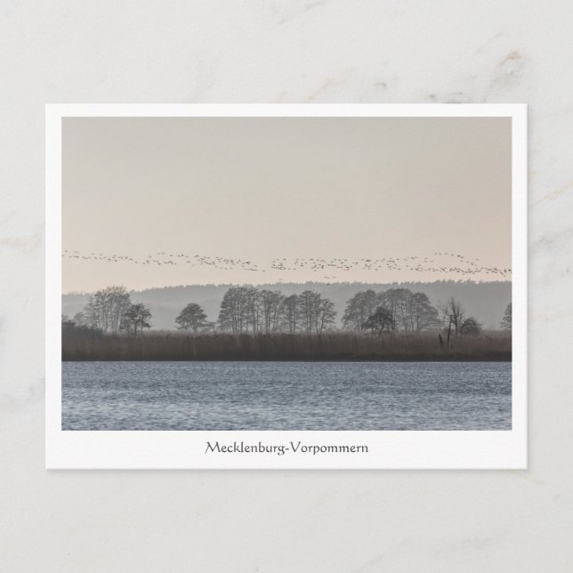 Carte Postale Mecklenburg-Vorpommern (Devant)