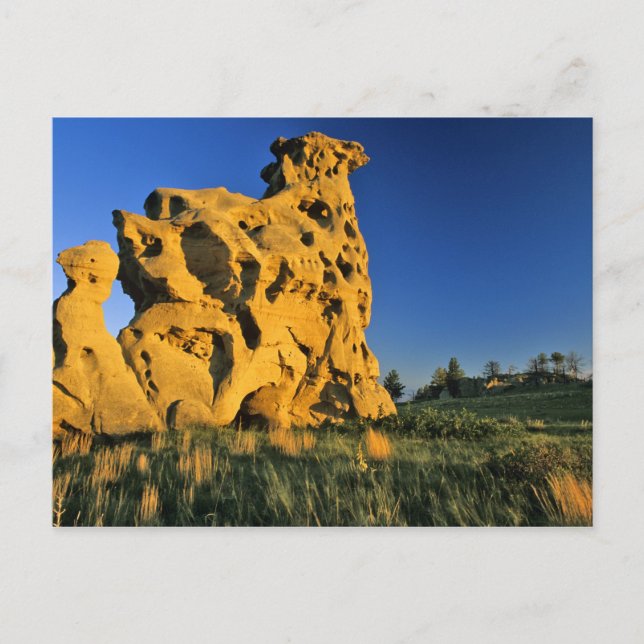 Carte Postale Medicine Rocks State Park près d'Ekalaka Montana (Devant)