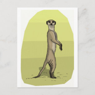 CARTE POSTALE MEERKAT