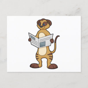 Carte Postale Meerkat à la lecture d'un journal