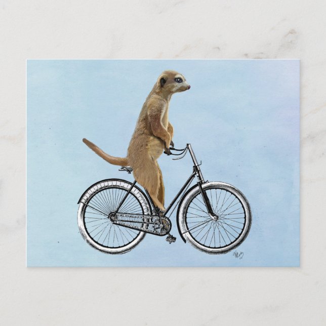 Carte Postale Meerkat à vélo 2 (Devant)