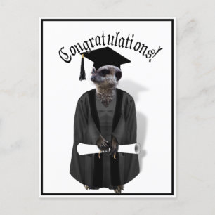 Carte Postale Meerkat Graduate avec gris et noir