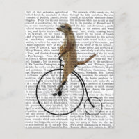 Meerkat sur Black Penny Farthing