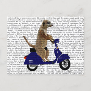 Carte Postale Meerkat sur Dark Blue Moped