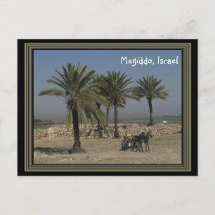 Carte Postale Megiddo Israel Postcard
