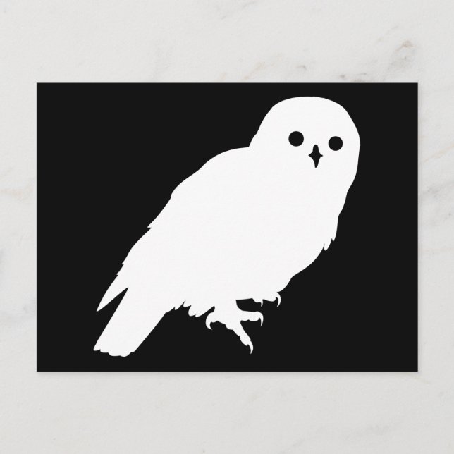Carte Postale Meilleur prix White Barn Owl Graphic (Devant)