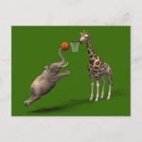 Meilleur scorer de basket-ball