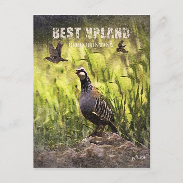 Carte Postale Meilleure chasse aux oiseaux des hautes terres (Devant)