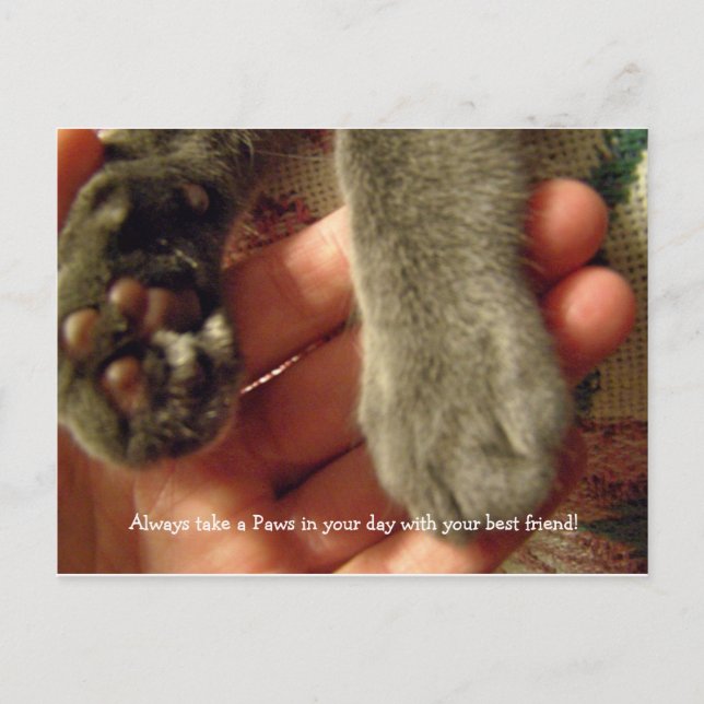 Carte Postale Meilleurs amis (Devant)