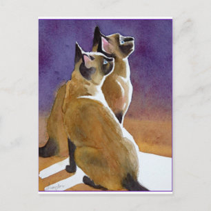 Carte Postale Meilleurs amis, chats siamois