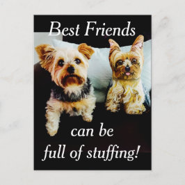 Carte Postale Meilleurs amis pleins de farce Yorkie Personnalise