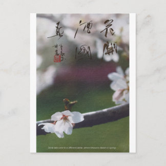 carte postale meitokai 1