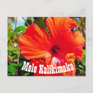 Carte postale Mele Kalikimaka