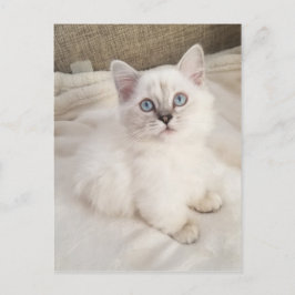 Carte Postale Mélodie