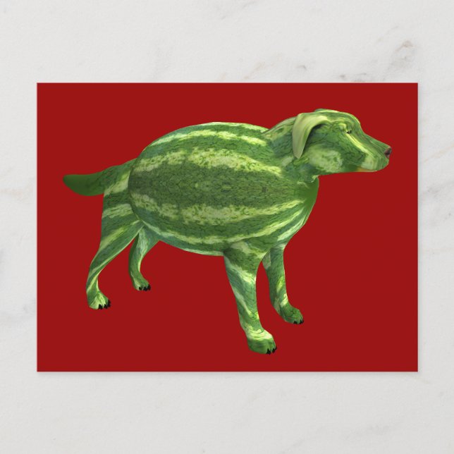 Carte Postale Melon Dog (Devant)