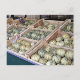 Carte Postale melons de Charentais exposés dans une épicerie