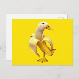 Carte postale Mème Canard Banane