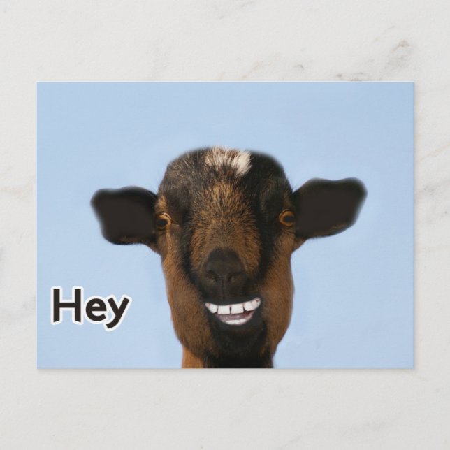 Carte Postale Mème de chèvre drôle souriant Vraiment grande cart (Devant)