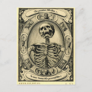 Carte Postale Memento Mori
