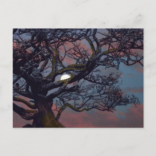 Carte Postale Mémoire de la Lune (Devant)