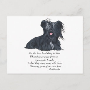 Carte Postale Mémoire du Terrier de Skye