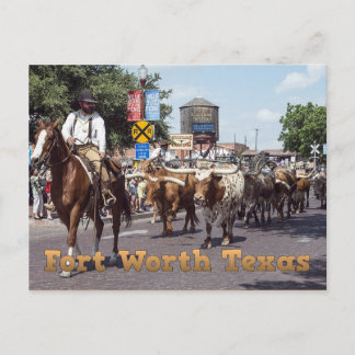 Carte postale mémorable Fort Worth Texas Cattle Dr
