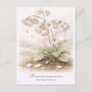 Carte Postale Memoria Evanescens – La Fleur Botanique Forgetful