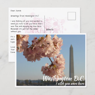 Carte Postale Mémorial Jefferson de Washington DC avec cerisier