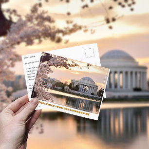 Carte Postale Mémorial Jefferson Washington DC cerisier à fleurs