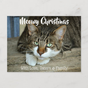 Carte Postale Meowy Christmas Your Chat's Holiday Salutations