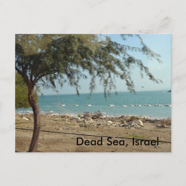 Carte Postale Mer Morte, Israël (Devant)