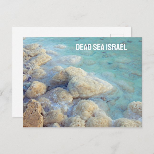 Carte Postale Mer morte Israël (Devant / Derrière)