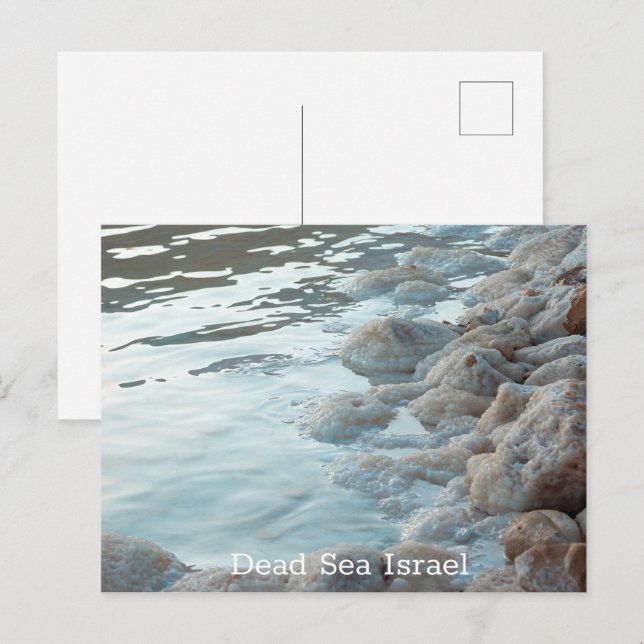 Carte Postale Mer morte Israël (Devant / Derrière)