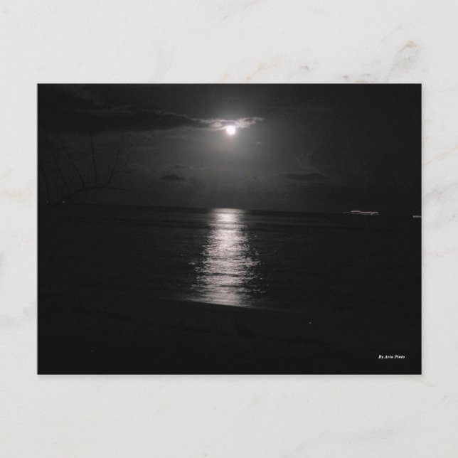 Carte Postale Mer nocturne (Devant)