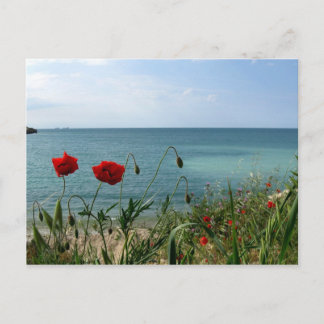 Carte Postale Mer Noire et Poppies rouges