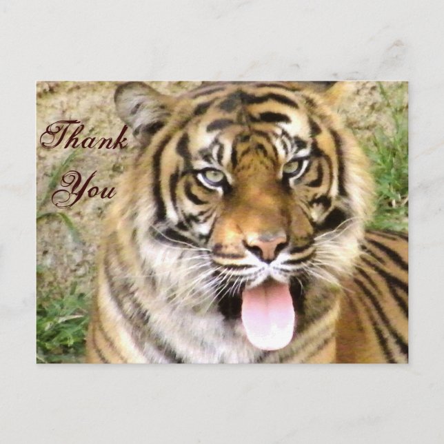 Carte Postale Merci_ (Devant)