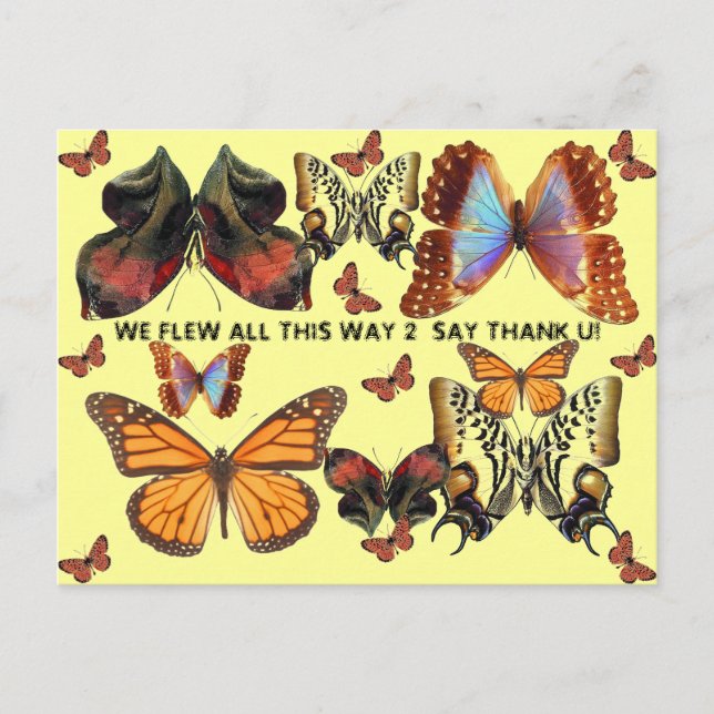 Carte Postale Merci ! (Devant)