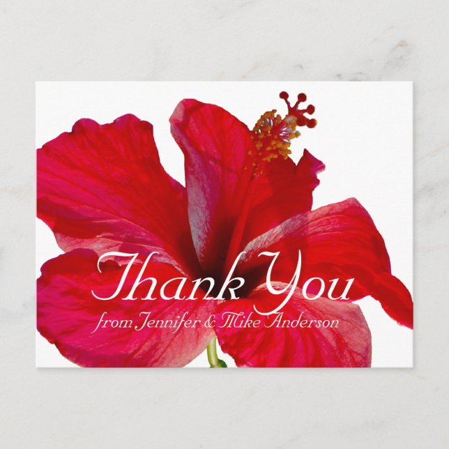 Carte Postale Merci à fleurs tropicales de l'Hibiscus rouge (Devant)